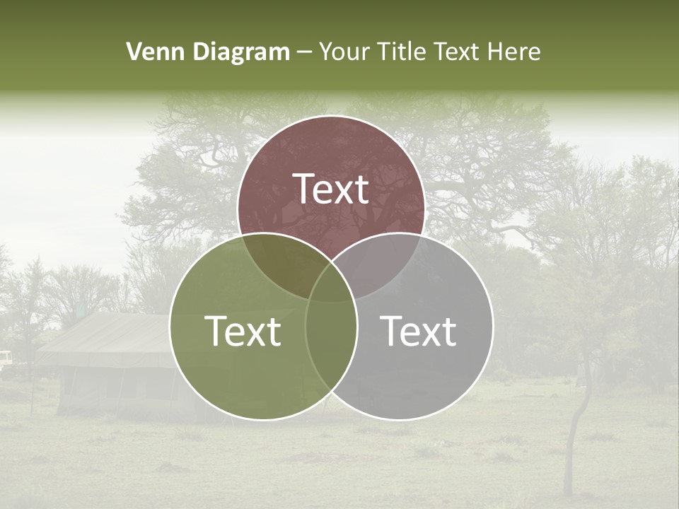 Trees Adventure Arid Climate PowerPoint Template
