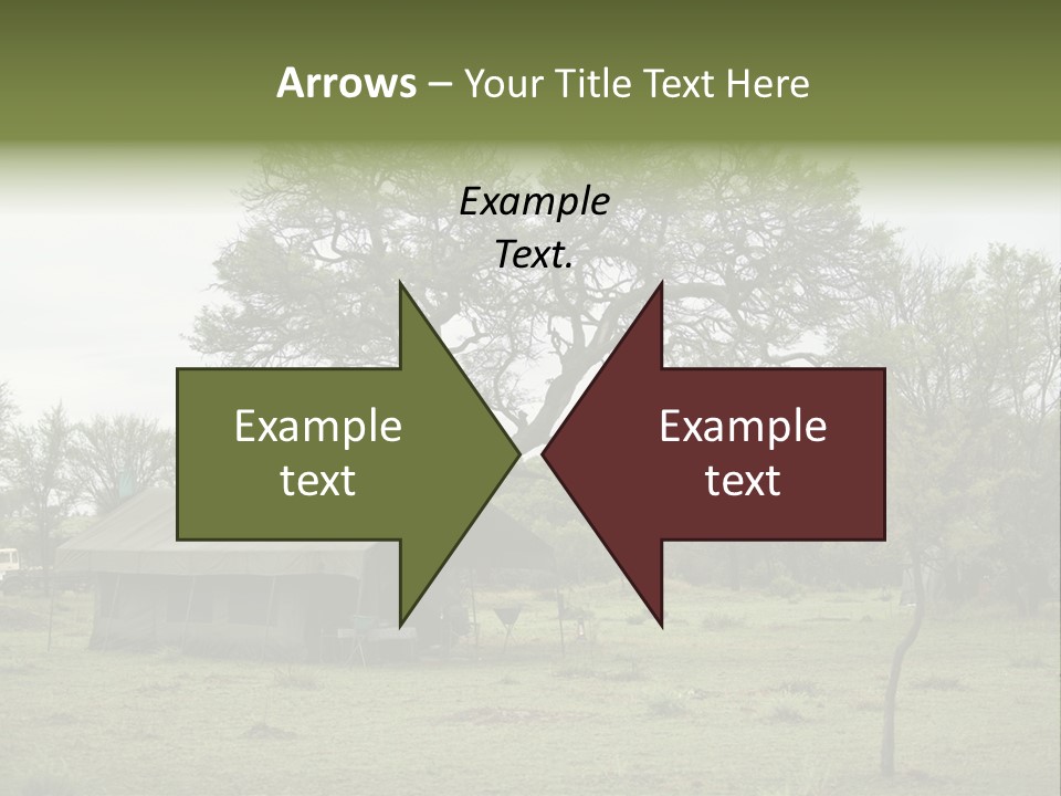 Trees Adventure Arid Climate PowerPoint Template
