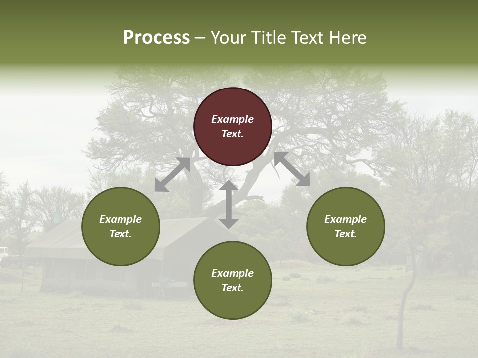 Trees Adventure Arid Climate PowerPoint Template