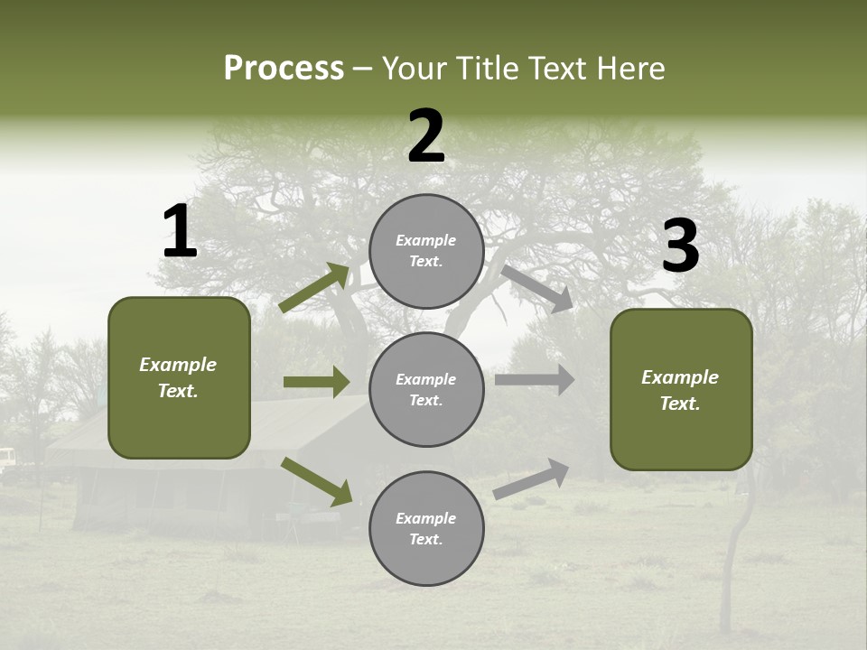 Trees Adventure Arid Climate PowerPoint Template