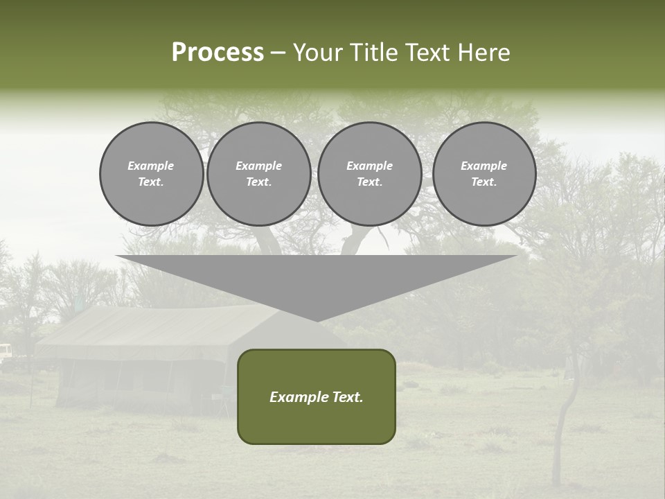 Trees Adventure Arid Climate PowerPoint Template