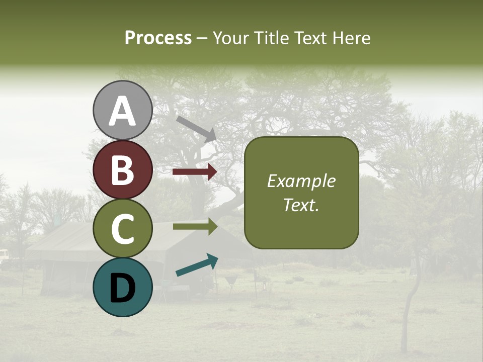 Trees Adventure Arid Climate PowerPoint Template