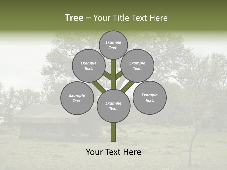 Trees Adventure Arid Climate PowerPoint Template
