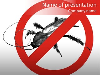 Pest Insect Kill PowerPoint Template