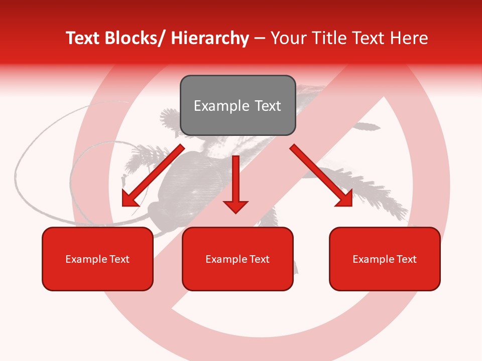 Pest Insect Kill PowerPoint Template