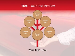 Salesperson Consumerism Caucasian PowerPoint Template