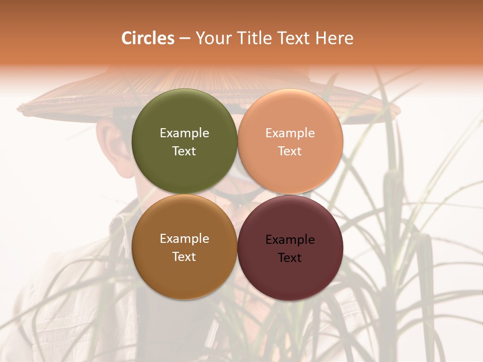 Magnifying Humor Tree PowerPoint Template