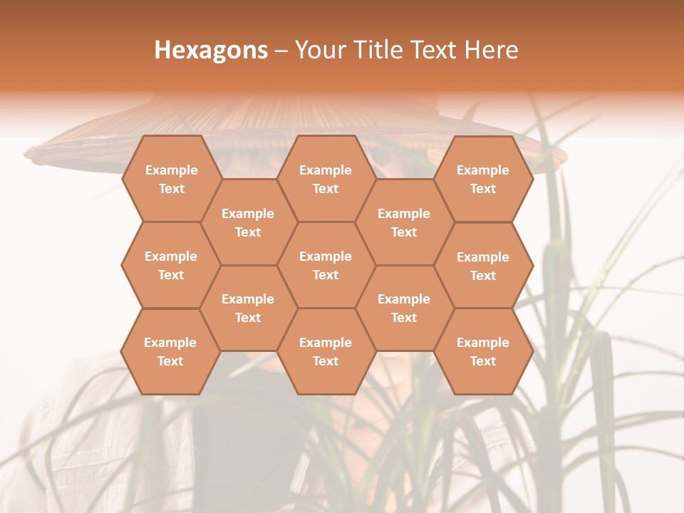 Magnifying Humor Tree PowerPoint Template