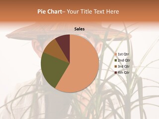 Magnifying Humor Tree PowerPoint Template