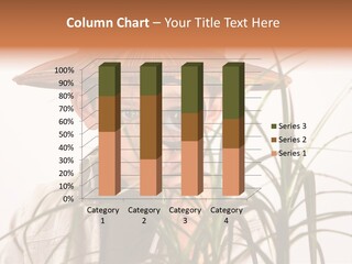 Magnifying Humor Tree PowerPoint Template