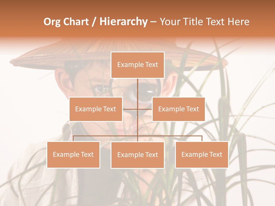 Magnifying Humor Tree PowerPoint Template
