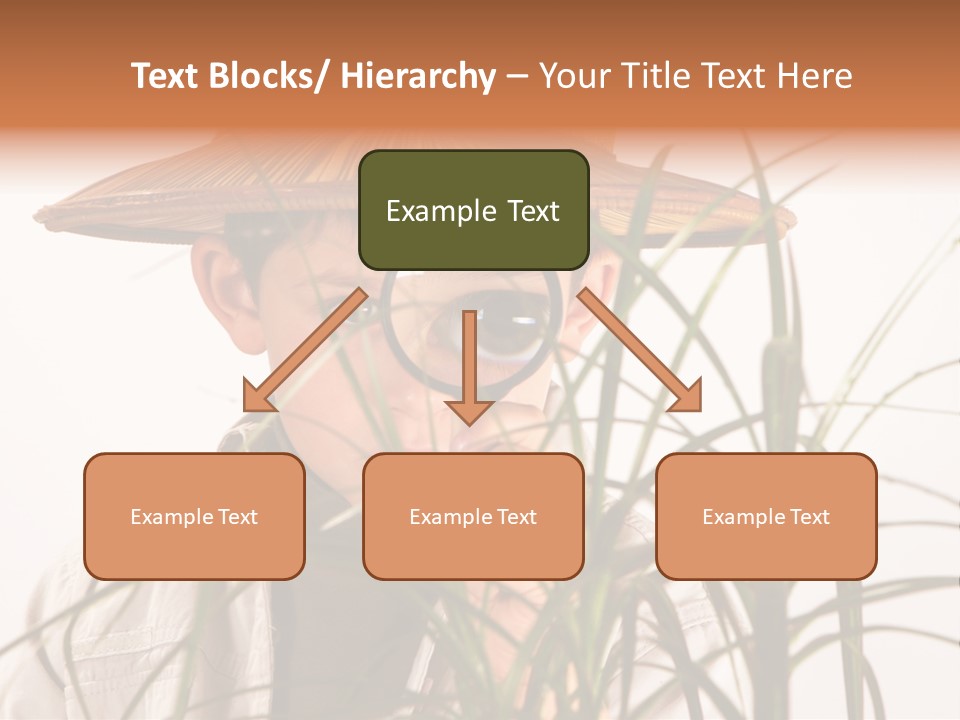 Magnifying Humor Tree PowerPoint Template