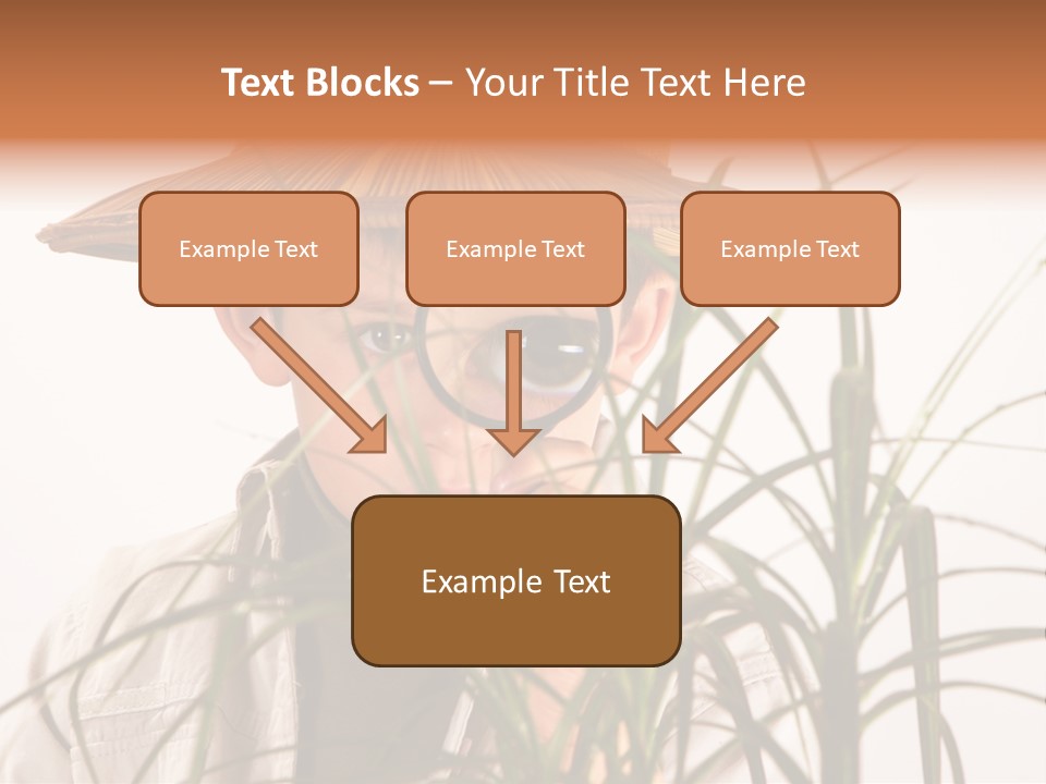 Magnifying Humor Tree PowerPoint Template