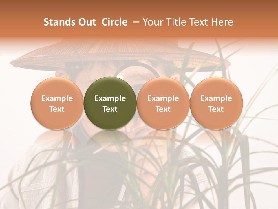 Magnifying Humor Tree PowerPoint Template