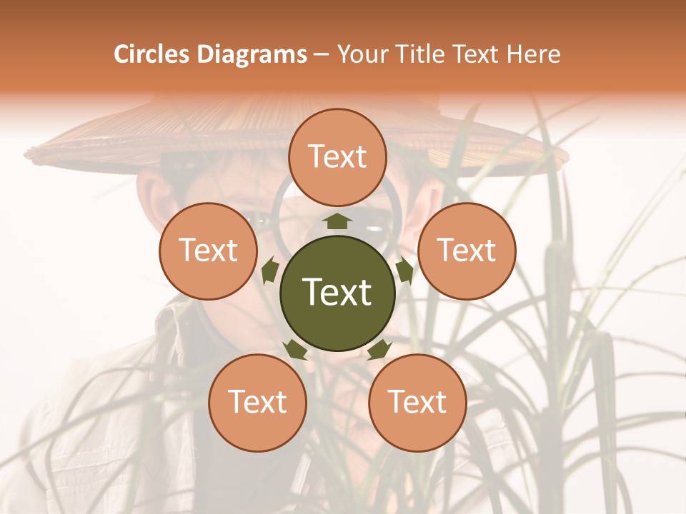 Magnifying Humor Tree PowerPoint Template
