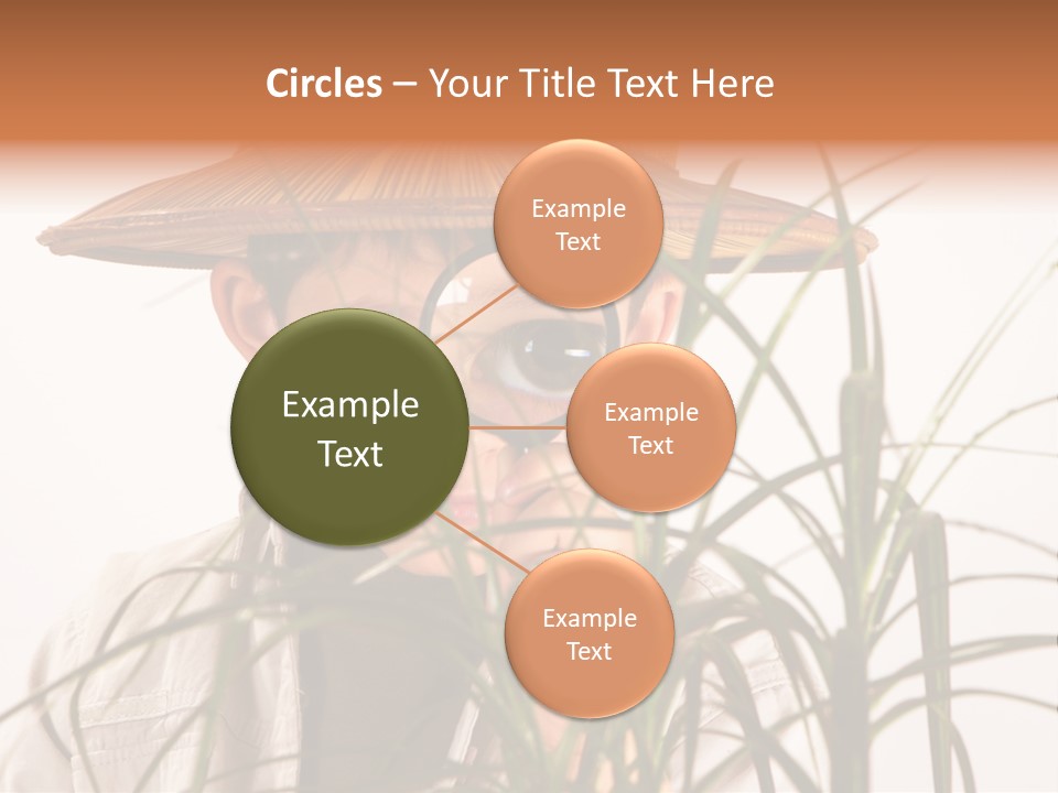 Magnifying Humor Tree PowerPoint Template