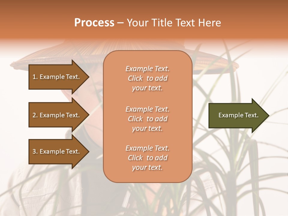 Magnifying Humor Tree PowerPoint Template