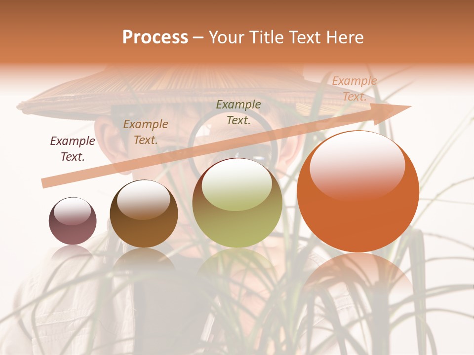 Magnifying Humor Tree PowerPoint Template
