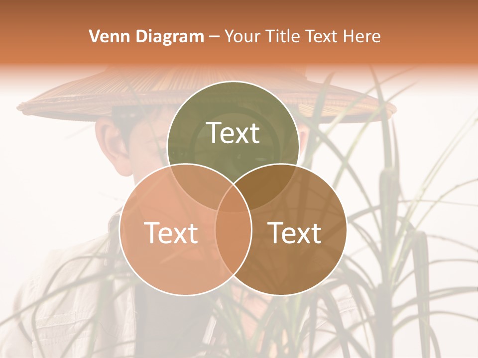 Magnifying Humor Tree PowerPoint Template