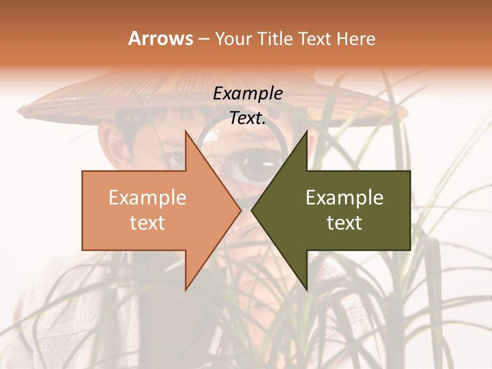 Magnifying Humor Tree PowerPoint Template