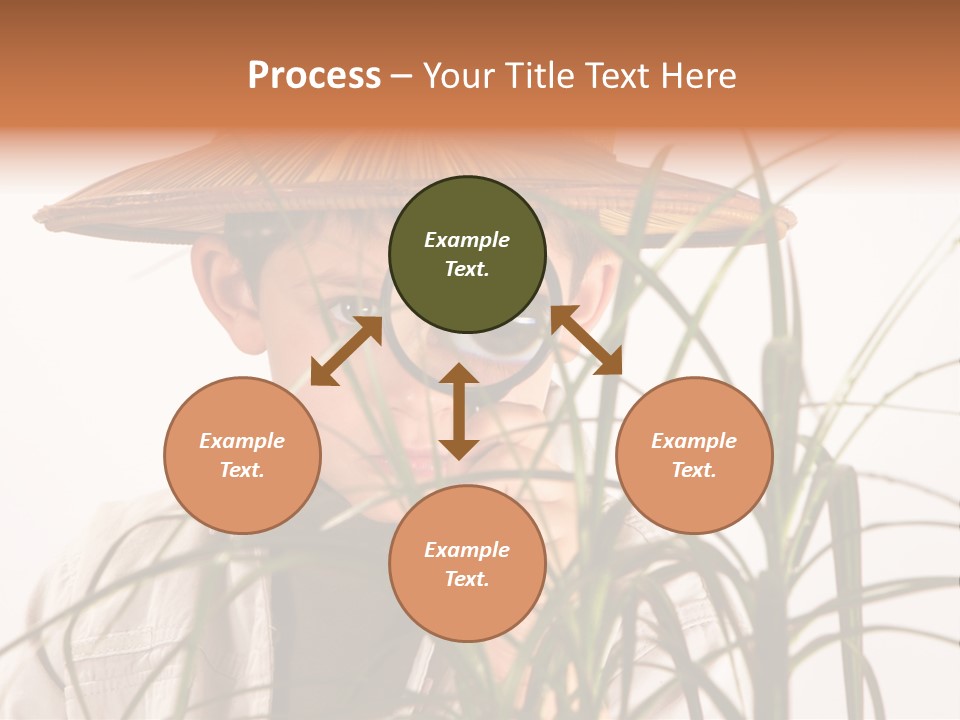 Magnifying Humor Tree PowerPoint Template