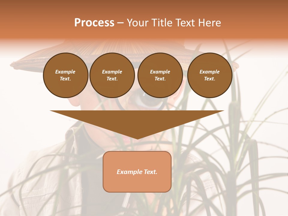 Magnifying Humor Tree PowerPoint Template