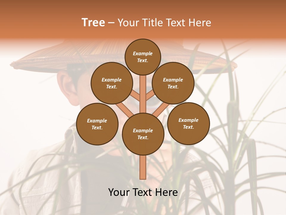 Magnifying Humor Tree PowerPoint Template