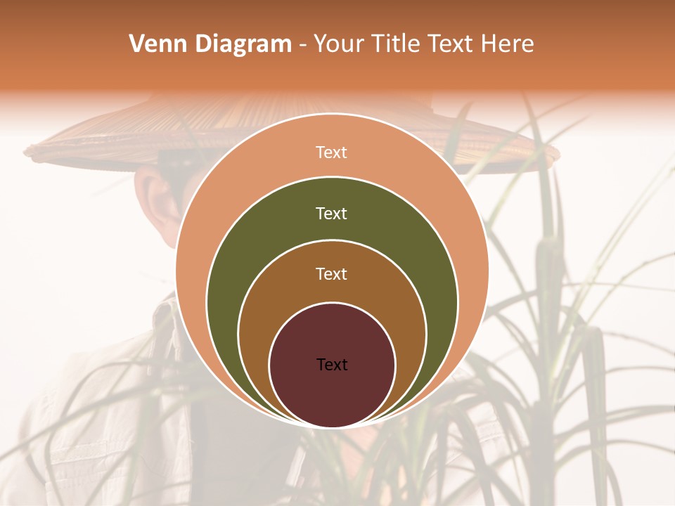 Magnifying Humor Tree PowerPoint Template