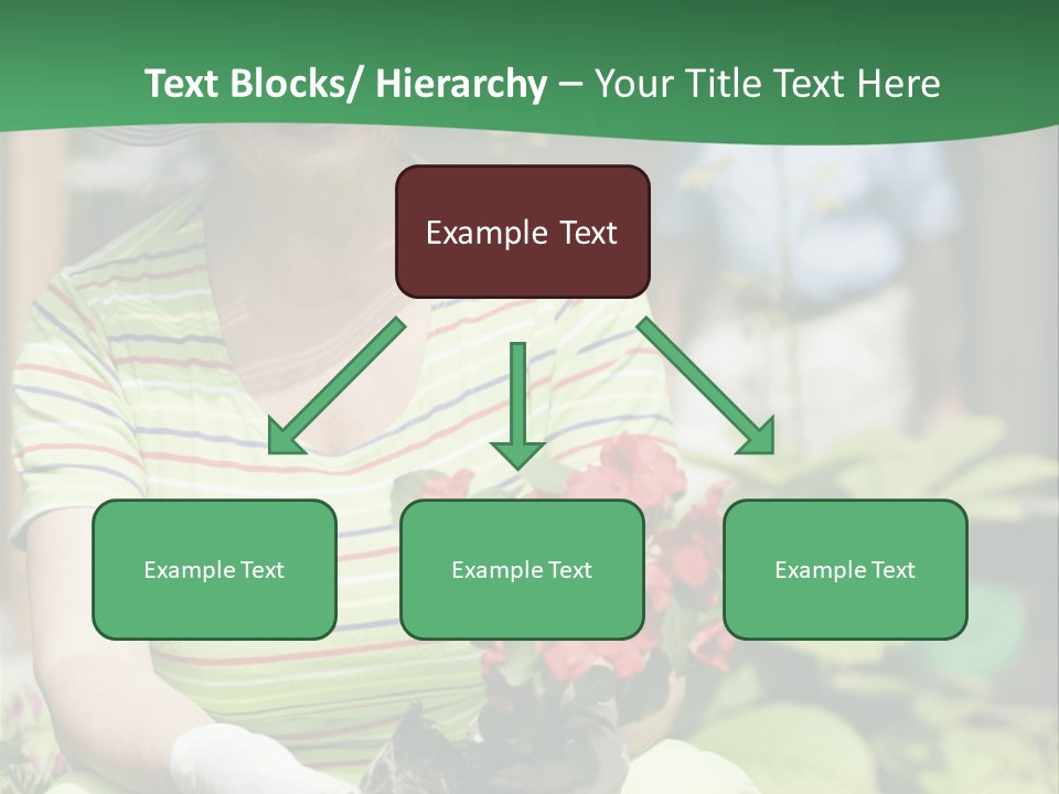 A Woman In A Hat Is Holding A Potted Plant PowerPoint Template