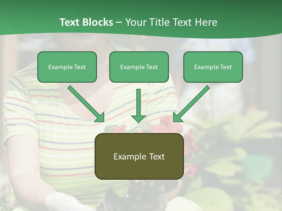 A Woman In A Hat Is Holding A Potted Plant PowerPoint Template