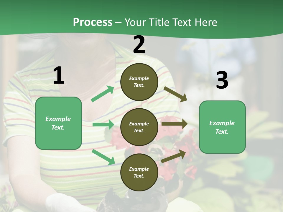 A Woman In A Hat Is Holding A Potted Plant PowerPoint Template