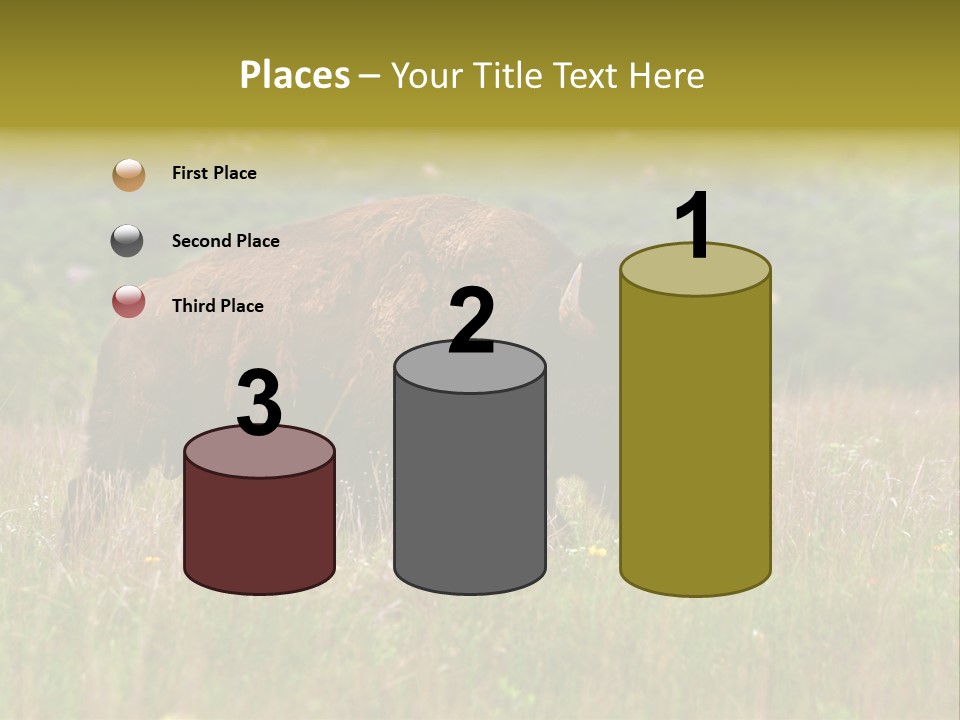 Farm National Western PowerPoint Template