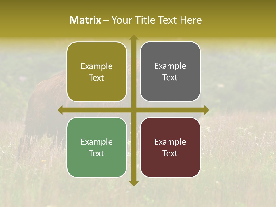 Farm National Western PowerPoint Template