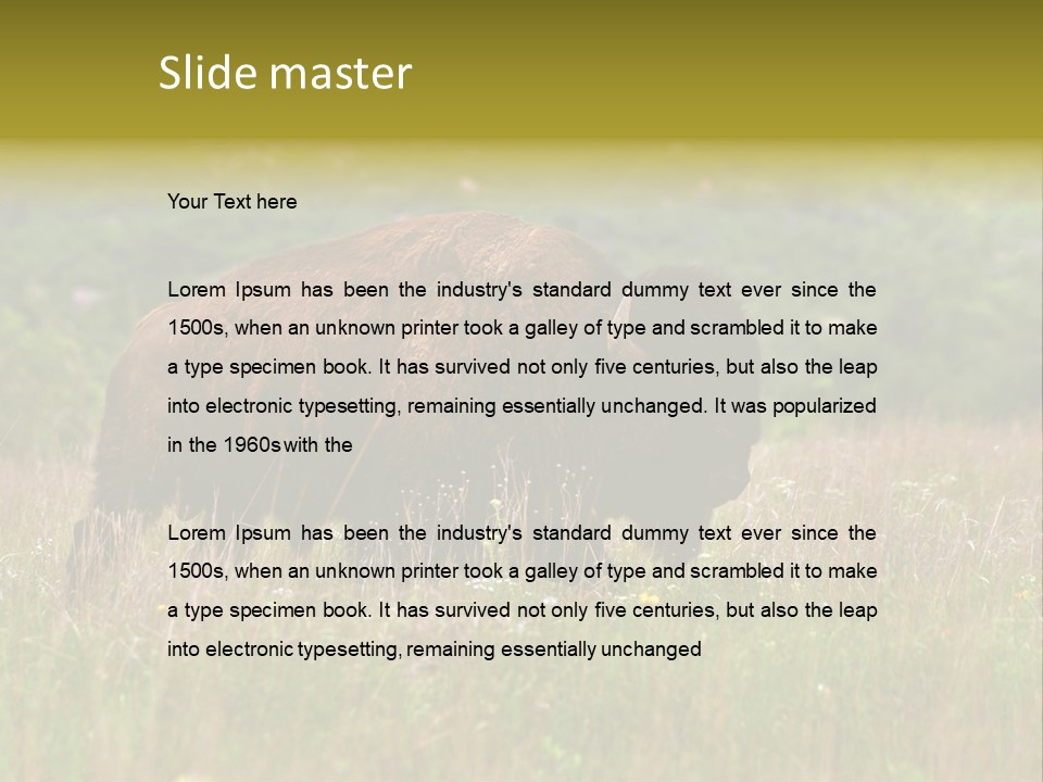 Farm National Western PowerPoint Template