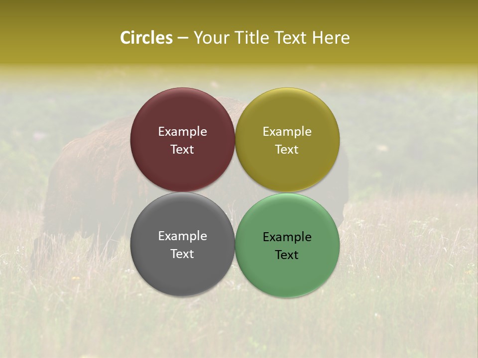 Farm National Western PowerPoint Template