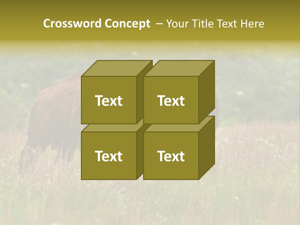 Farm National Western PowerPoint Template