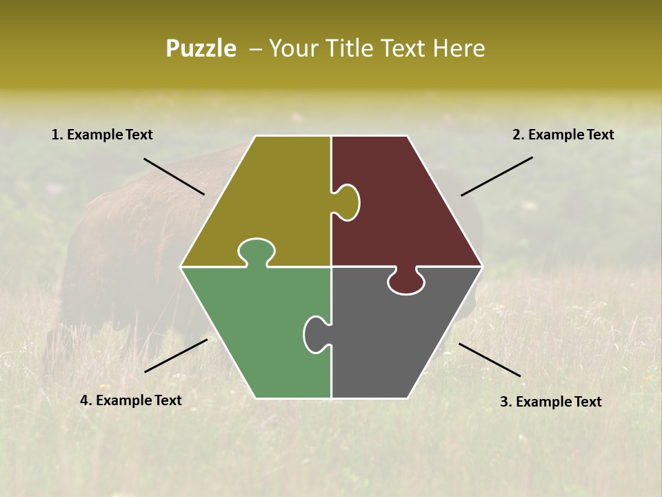 Farm National Western PowerPoint Template