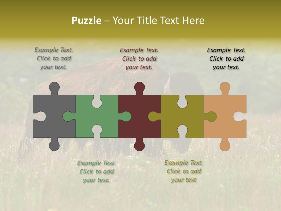 Farm National Western PowerPoint Template