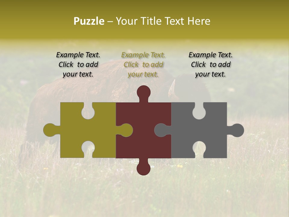 Farm National Western PowerPoint Template