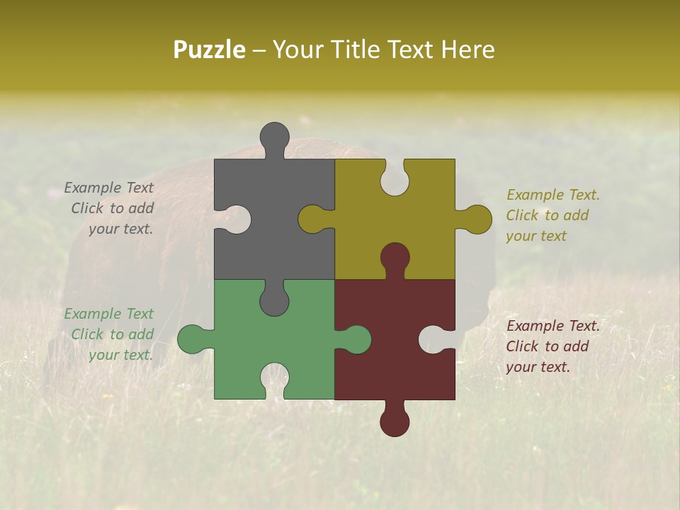 Farm National Western PowerPoint Template