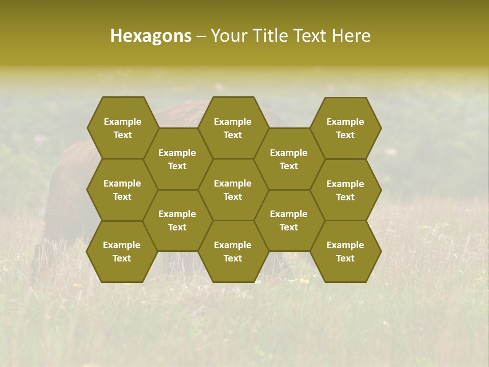 Farm National Western PowerPoint Template