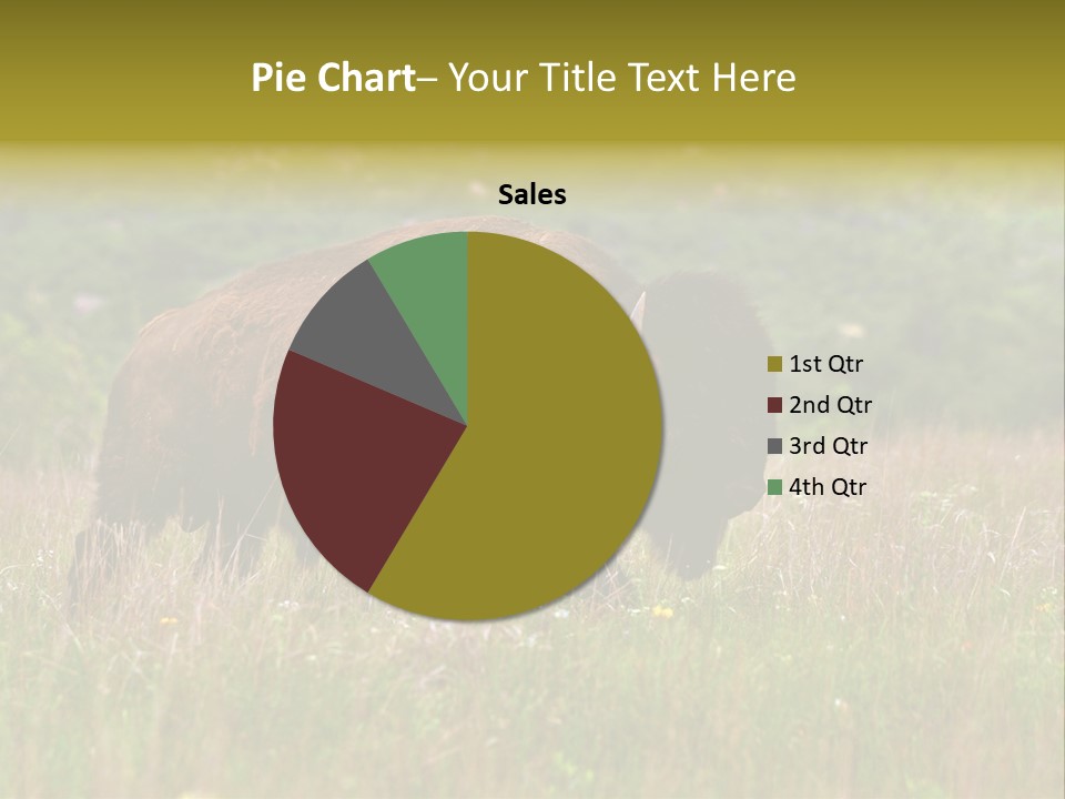 Farm National Western PowerPoint Template