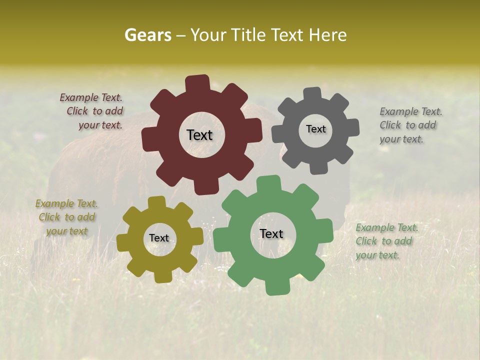 Farm National Western PowerPoint Template