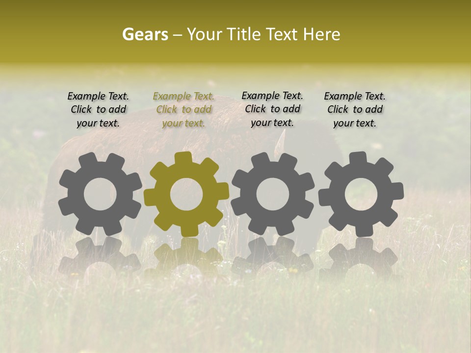 Farm National Western PowerPoint Template