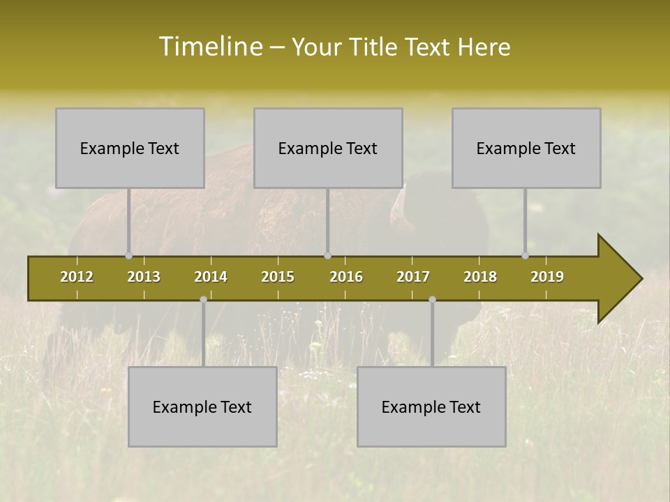 Farm National Western PowerPoint Template