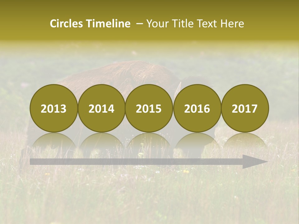 Farm National Western PowerPoint Template