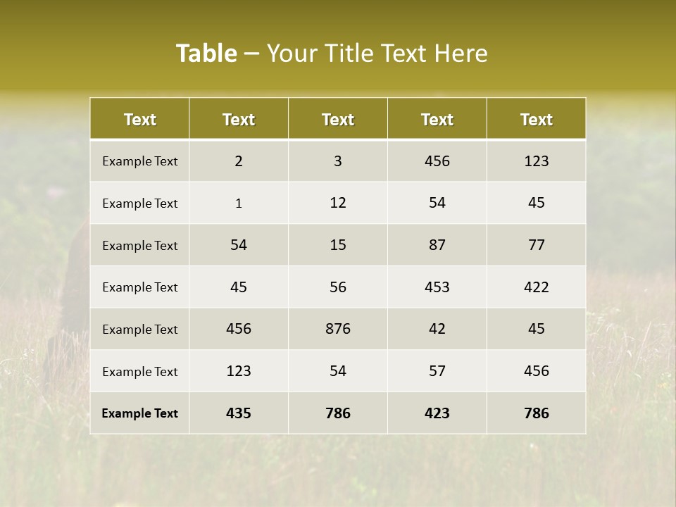 Farm National Western PowerPoint Template