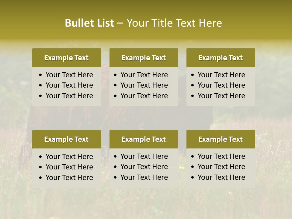 Farm National Western PowerPoint Template