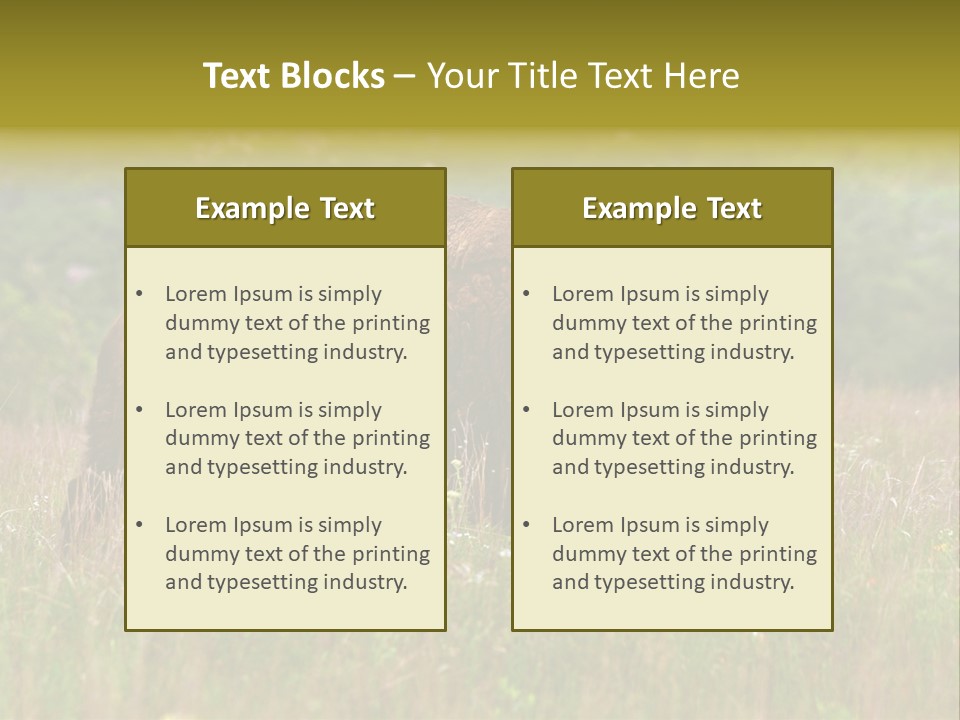 Farm National Western PowerPoint Template