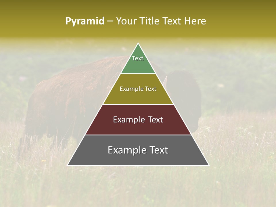 Farm National Western PowerPoint Template